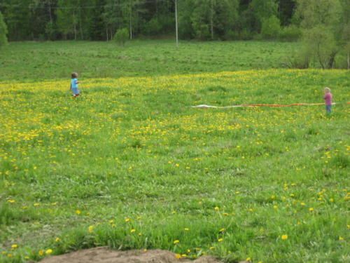 kesa2011_077